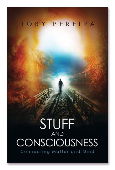 Stuff and Consciousness: Connecting Matter and Mind